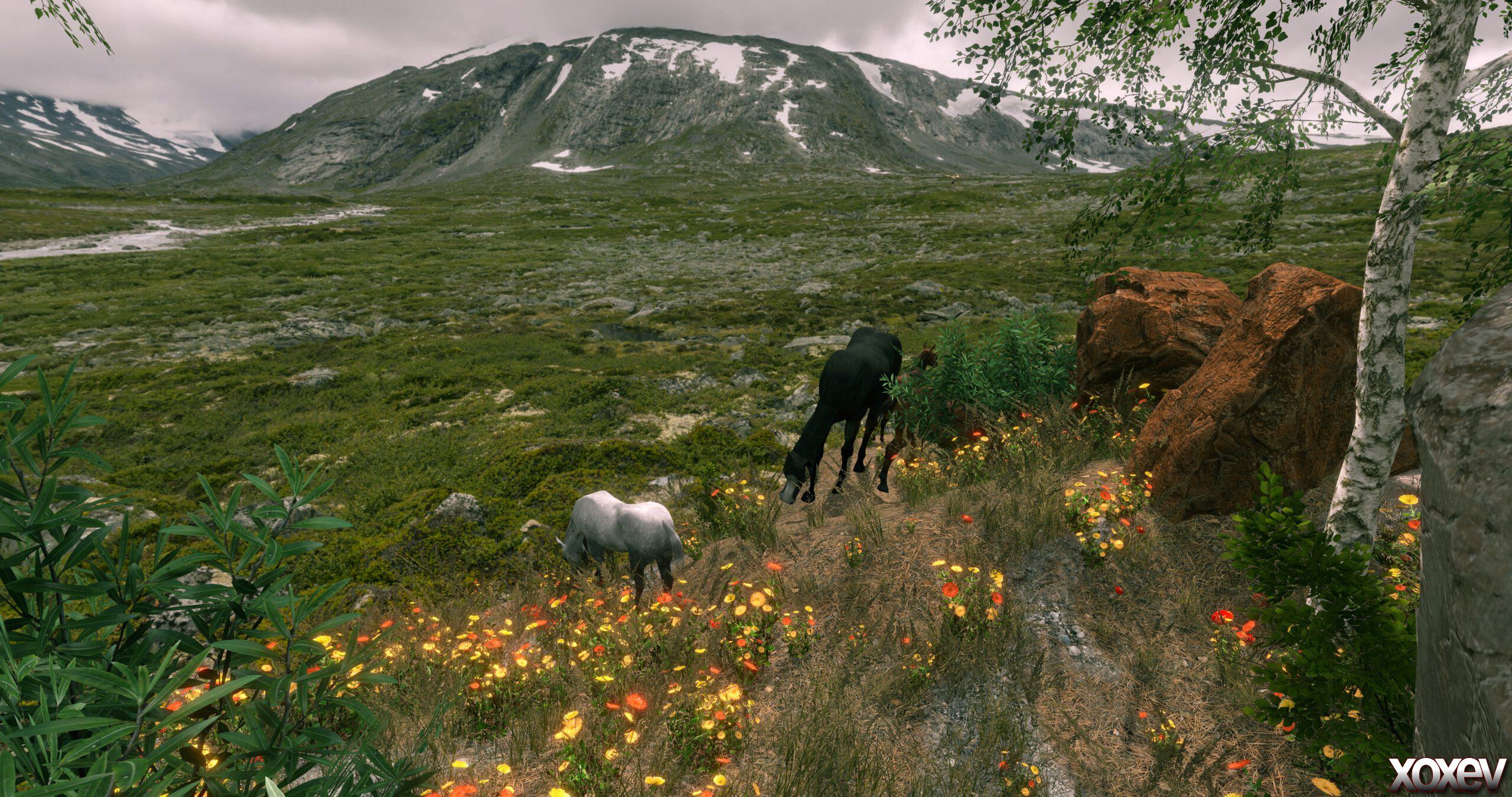 Erweiterung ARK: Survival Evolved