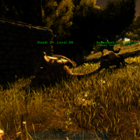 ARK  Survival Evolved Screenshot 2023.01.29 – 13.09.49.36 